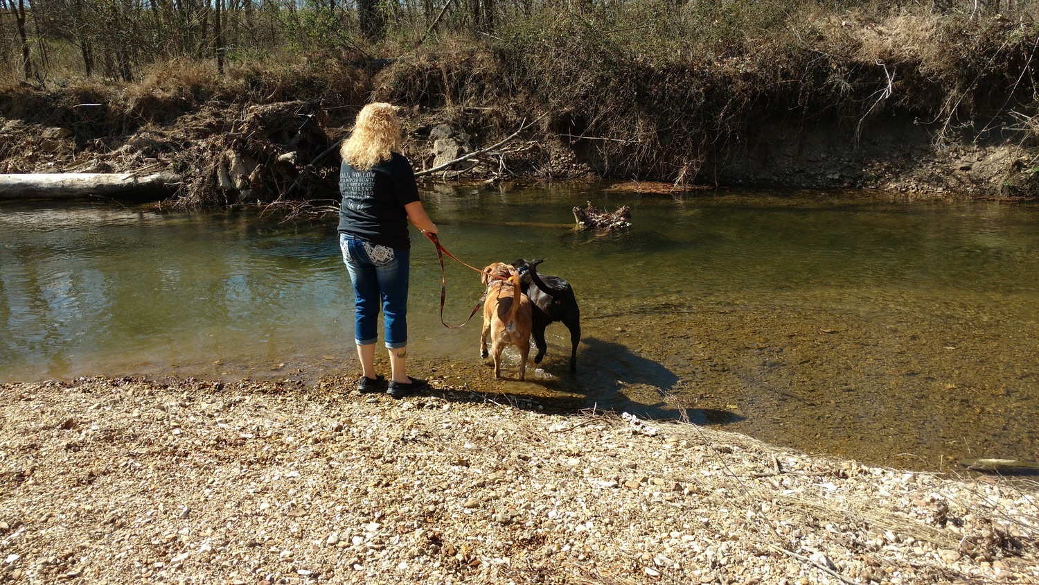 Fall Hollow Campground