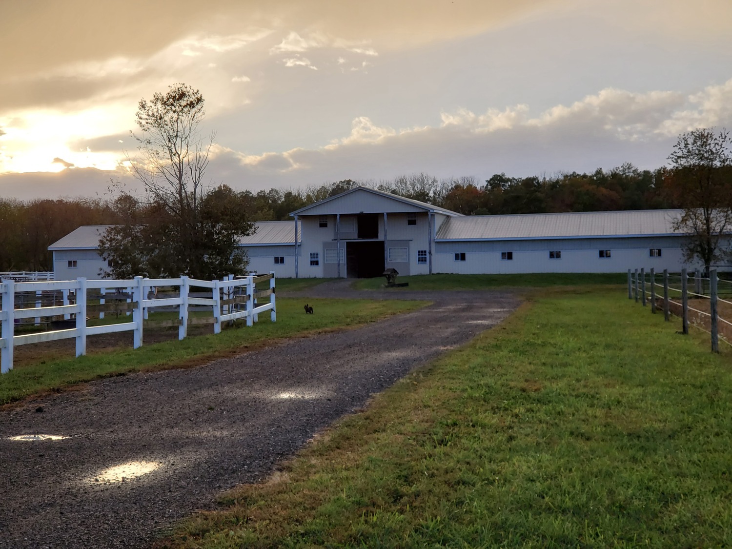 Clover Hill Farm