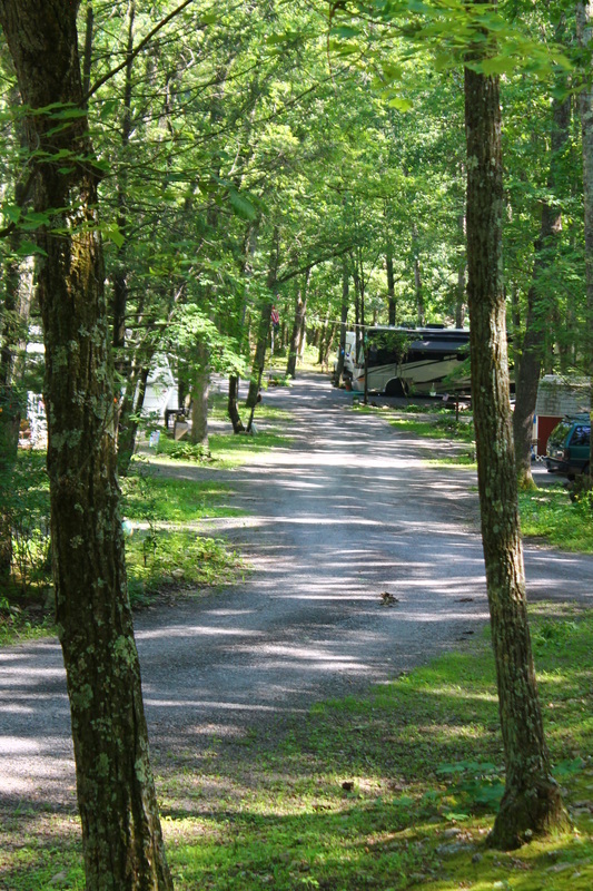 Gray Squirrel Campsites