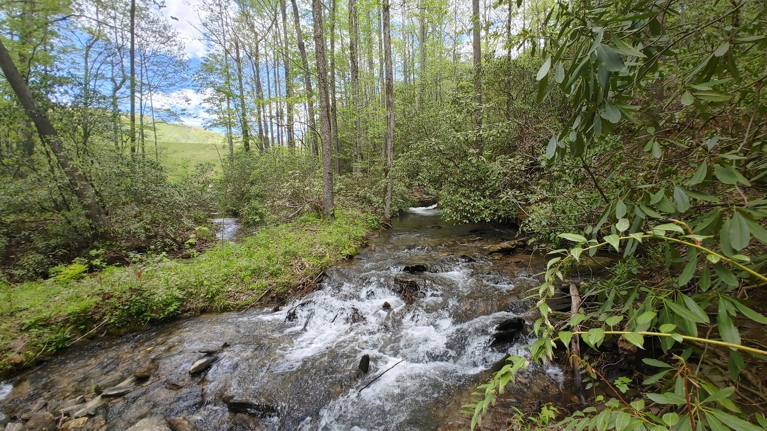 LDMA - Oconee Campground & Gold Mining