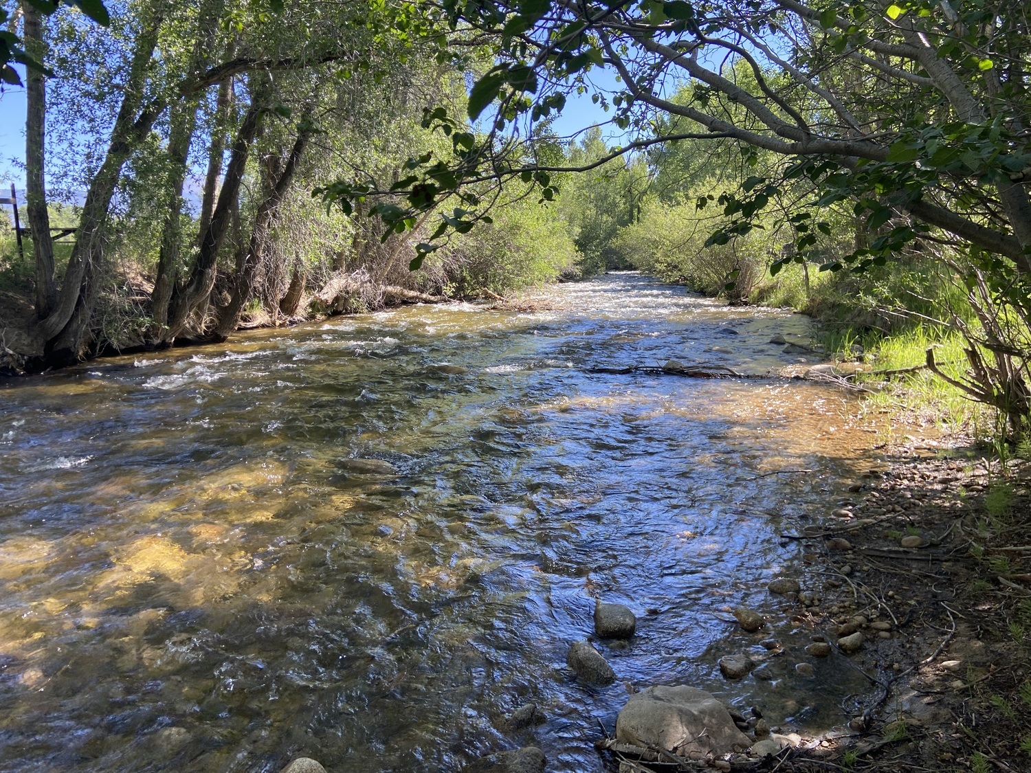 MoonStream Vintage Campground