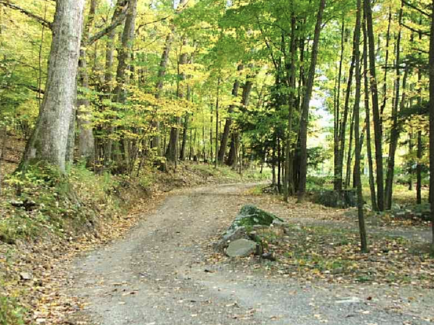 Abrams Creek Campground