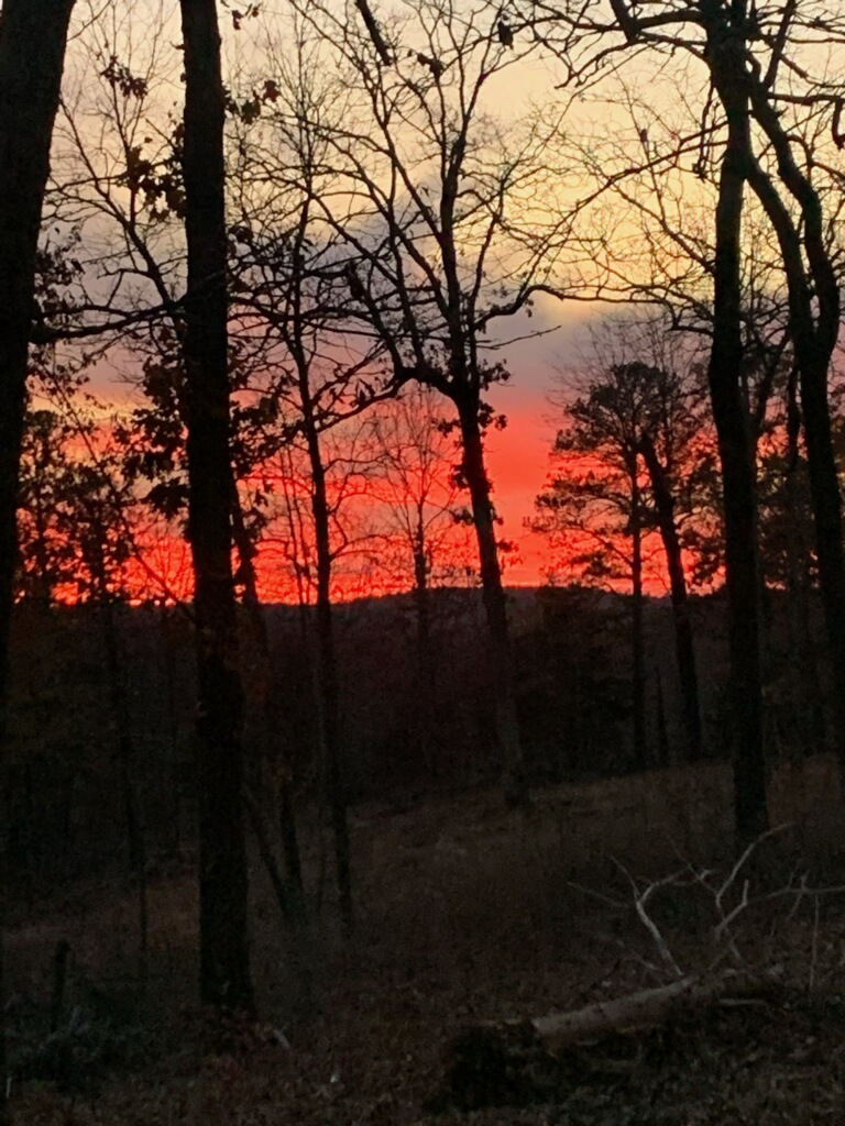 Rollin Oaks Park