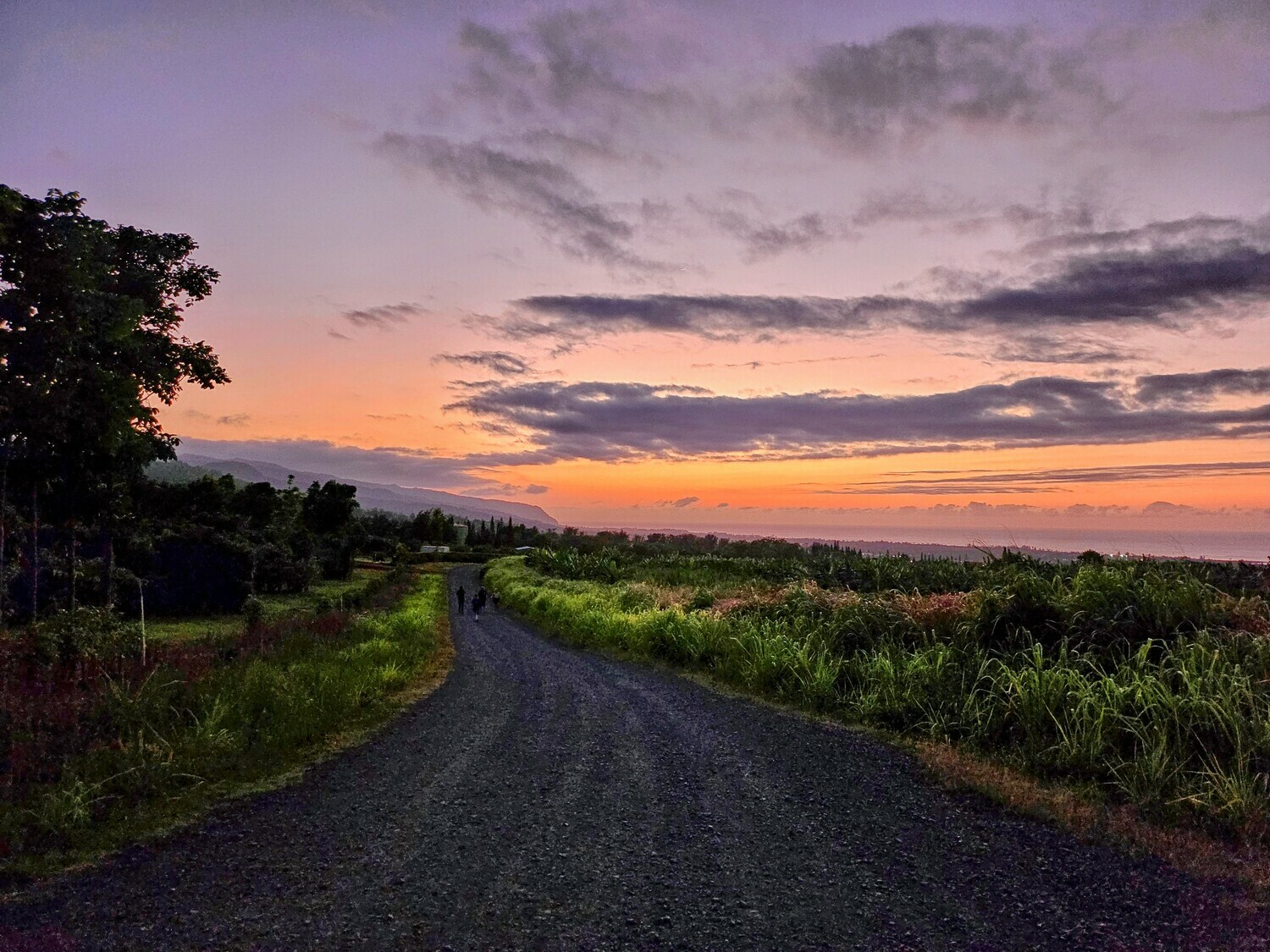 Living Circle Farms Hawaii