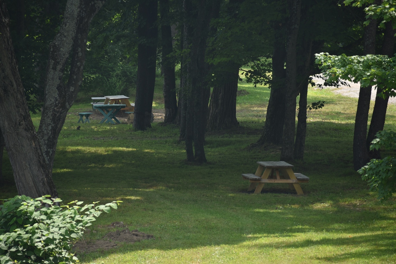 Doo Dah Campgrounds