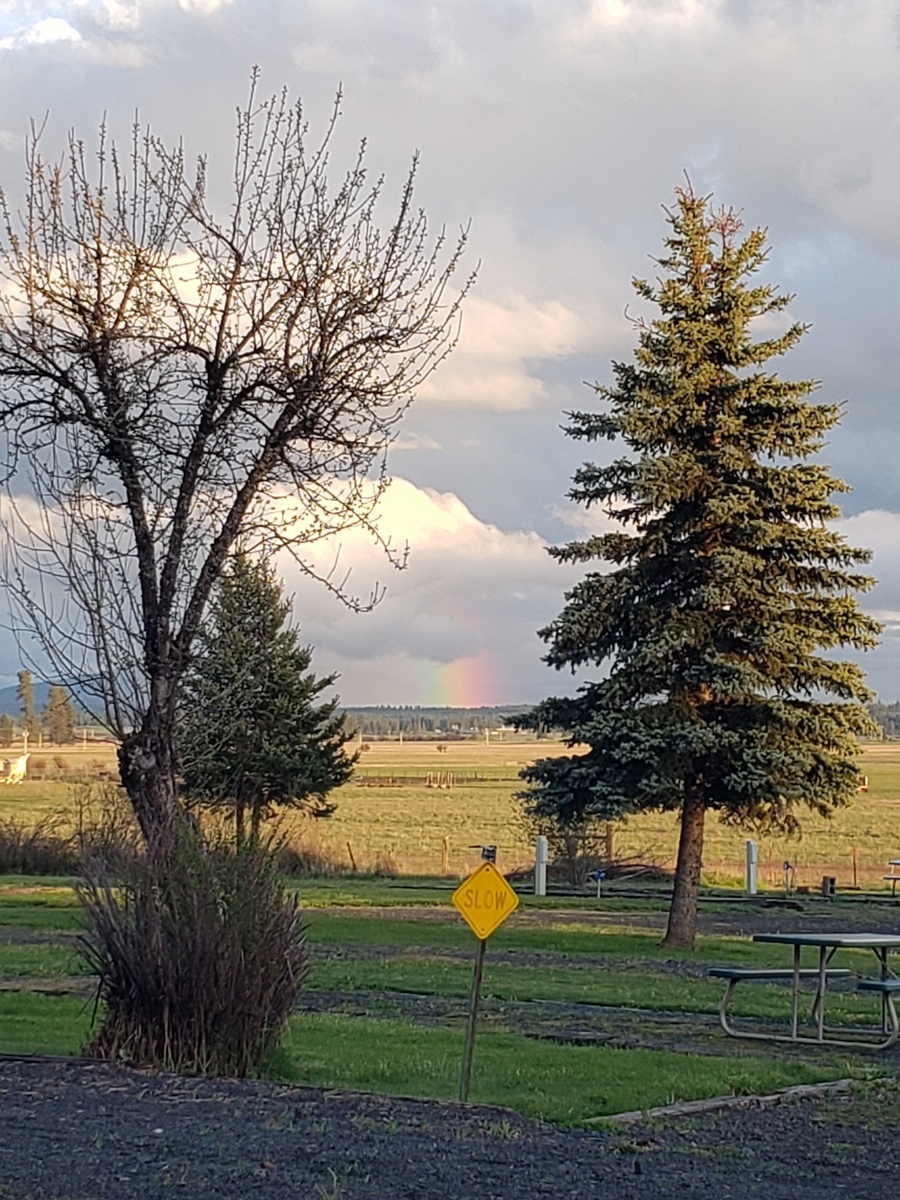 Wild Camas RV Park