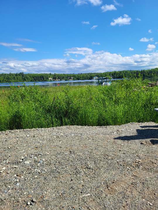 Mooseberry Cabins